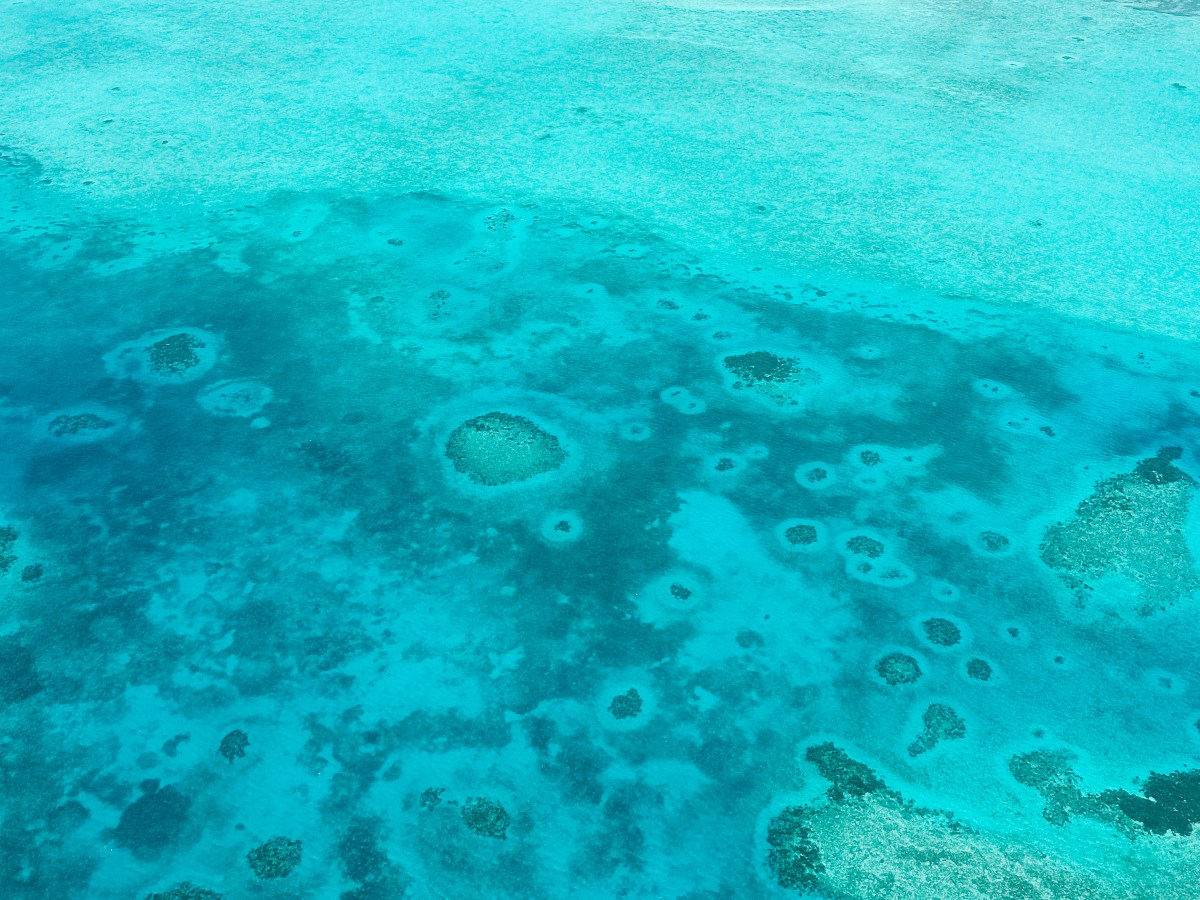 Ultimate Guide to Your Belize Adventures: From Mayan Ruins to Coral&nbsp;Reefs